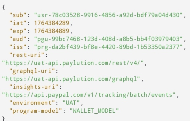 Decoded Payload Image